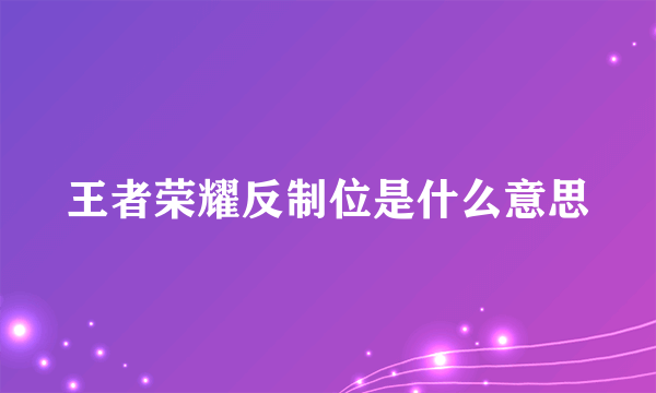 王者荣耀反制位是什么意思