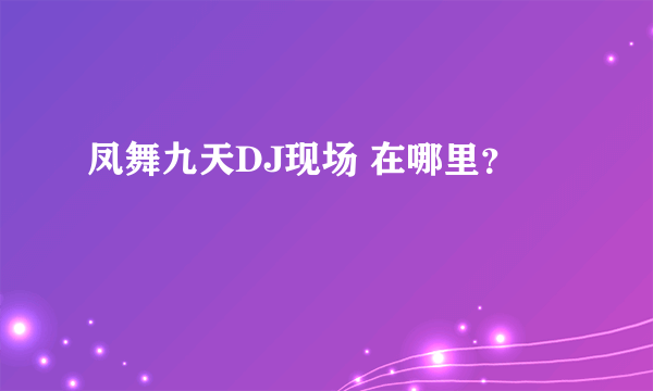 凤舞九天DJ现场 在哪里？