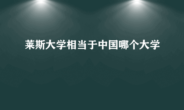 莱斯大学相当于中国哪个大学