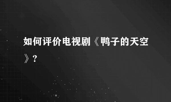 如何评价电视剧《鸭子的天空》?