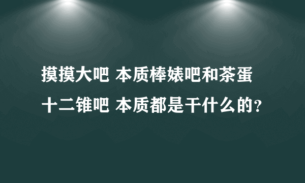 摸摸大吧 本质棒婊吧和茶蛋十二锥吧 本质都是干什么的？