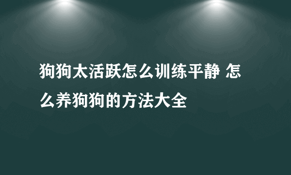 狗狗太活跃怎么训练平静 怎么养狗狗的方法大全