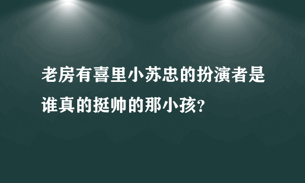 老房有喜里小苏忠的扮演者是谁真的挺帅的那小孩？