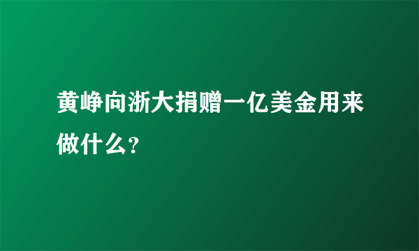 黄峥向浙大捐赠一亿美金用来做什么？