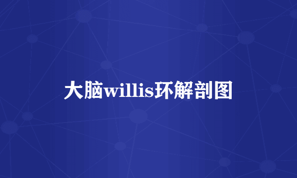 大脑willis环解剖图