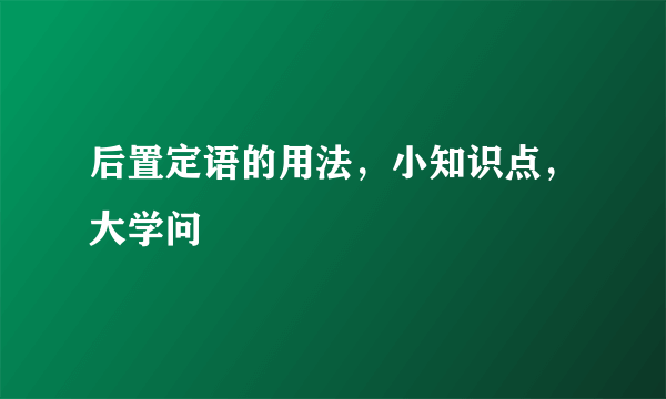 后置定语的用法，小知识点，大学问