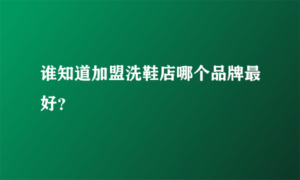 谁知道加盟洗鞋店哪个品牌最好？