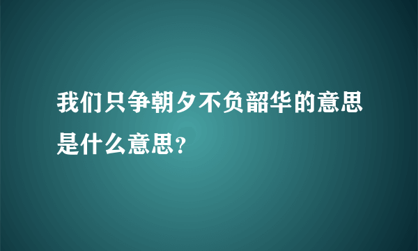 我们只争朝夕不负韶华的意思是什么意思？