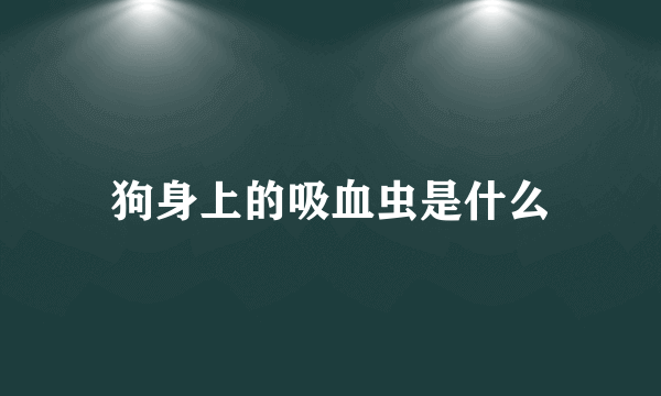 狗身上的吸血虫是什么