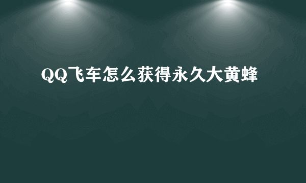 QQ飞车怎么获得永久大黄蜂