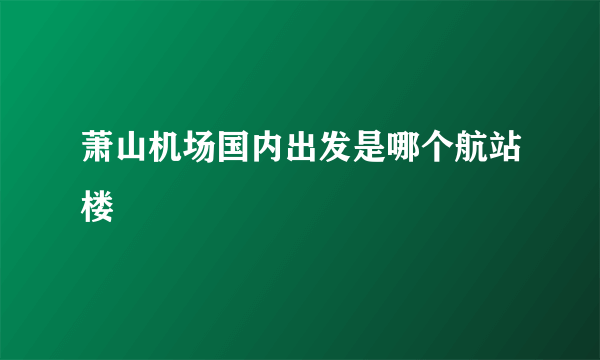 萧山机场国内出发是哪个航站楼