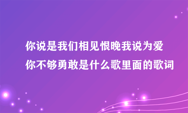 你说是我们相见恨晚我说为爱你不够勇敢是什么歌里面的歌词