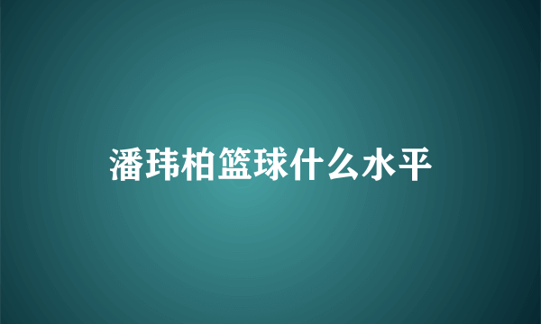 潘玮柏篮球什么水平