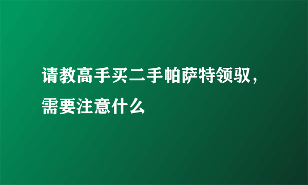 请教高手买二手帕萨特领驭，需要注意什么