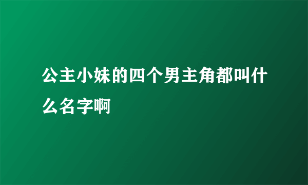 公主小妹的四个男主角都叫什么名字啊