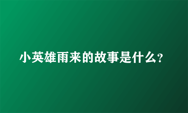 小英雄雨来的故事是什么？