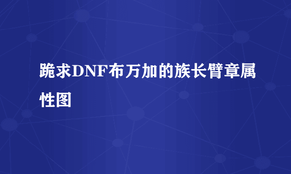 跪求DNF布万加的族长臂章属性图