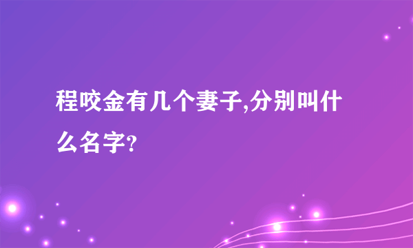 程咬金有几个妻子,分别叫什么名字？