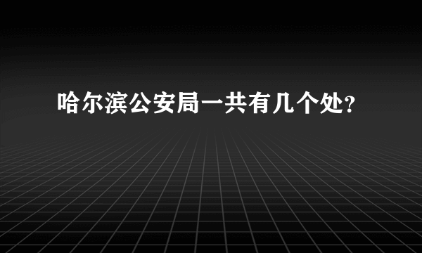 哈尔滨公安局一共有几个处？