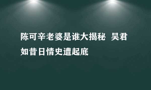 陈可辛老婆是谁大揭秘  吴君如昔日情史遭起底