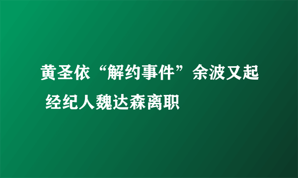 黄圣依“解约事件”余波又起 经纪人魏达森离职