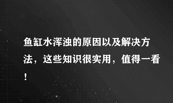 鱼缸水浑浊的原因以及解决方法，这些知识很实用，值得一看！