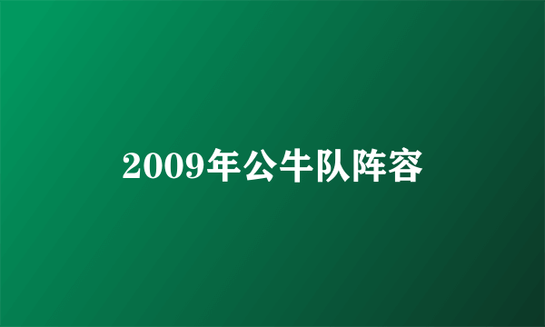 2009年公牛队阵容