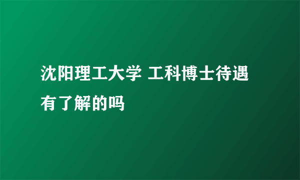 沈阳理工大学 工科博士待遇有了解的吗