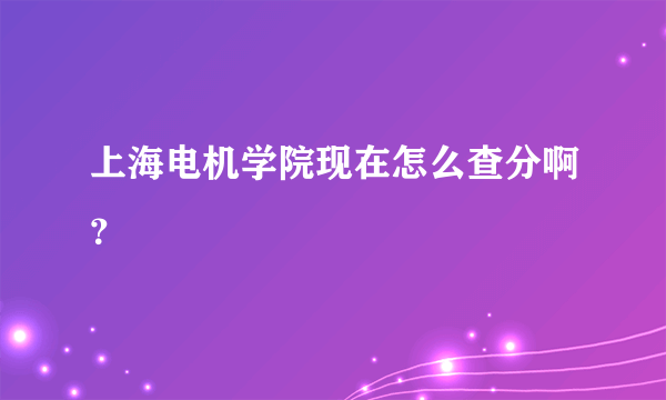 上海电机学院现在怎么查分啊？