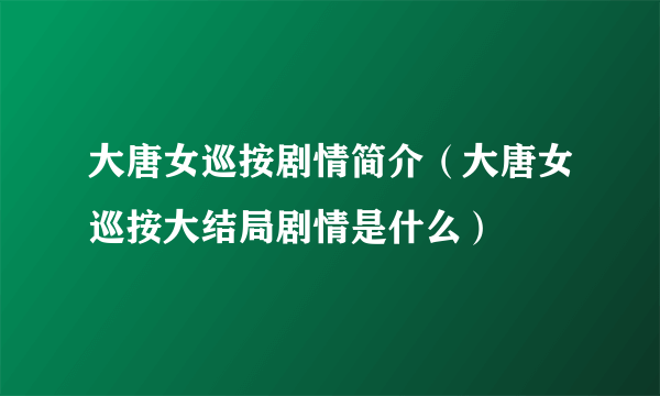 大唐女巡按剧情简介（大唐女巡按大结局剧情是什么）