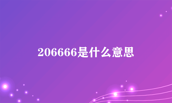 206666是什么意思