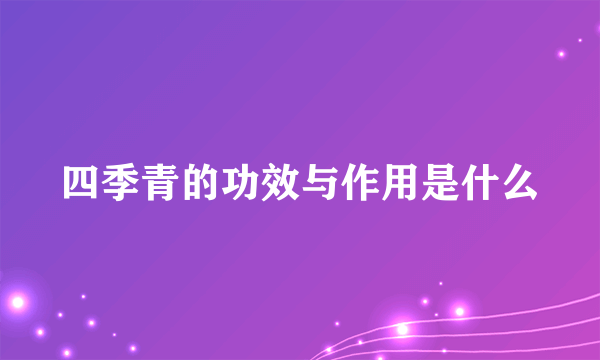 四季青的功效与作用是什么