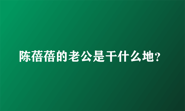 陈蓓蓓的老公是干什么地？