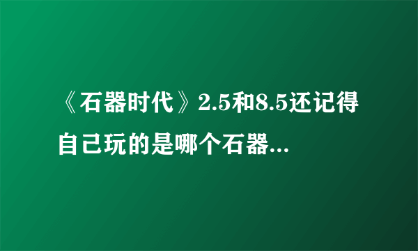 《石器时代》2.5和8.5还记得自己玩的是哪个石器版本吗？