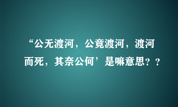 “公无渡河，公竟渡河，渡河而死，其奈公何’是嘛意思？？