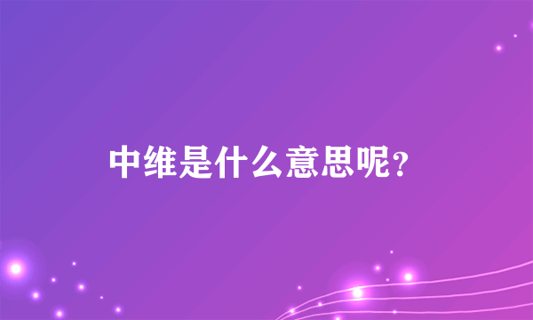 中维是什么意思呢？