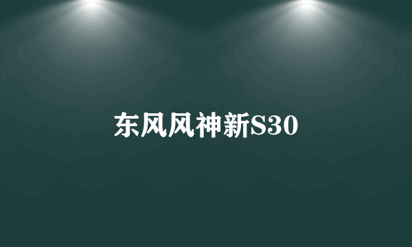 东风风神新S30