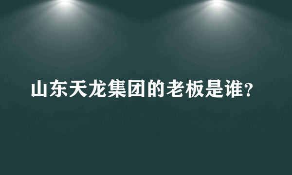 山东天龙集团的老板是谁？