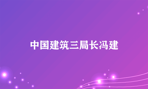 中国建筑三局长冯建