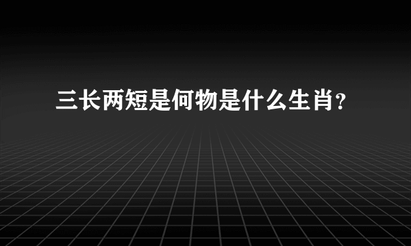 三长两短是何物是什么生肖？