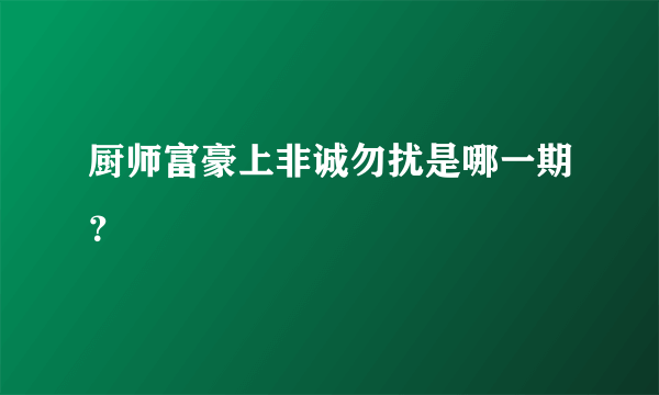 厨师富豪上非诚勿扰是哪一期？