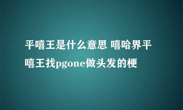 平嘻王是什么意思 嘻哈界平嘻王找pgone做头发的梗