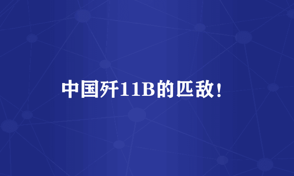 中国歼11B的匹敌！