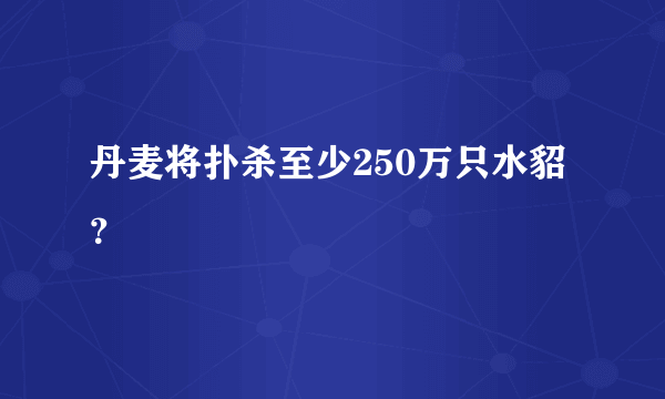 丹麦将扑杀至少250万只水貂？