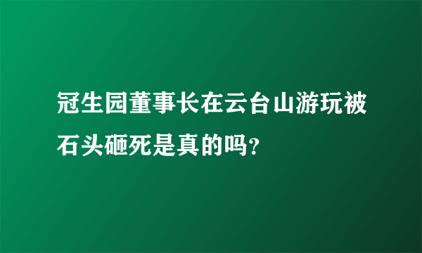 冠生园董事长在云台山游玩被石头砸死是真的吗？