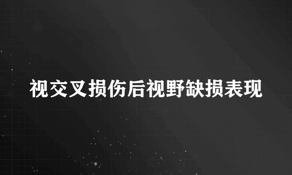 视交叉损伤后视野缺损表现