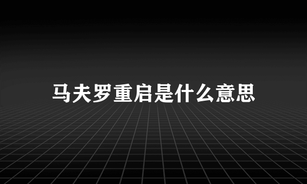 马夫罗重启是什么意思