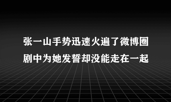 张一山手势迅速火遍了微博圈剧中为她发誓却没能走在一起