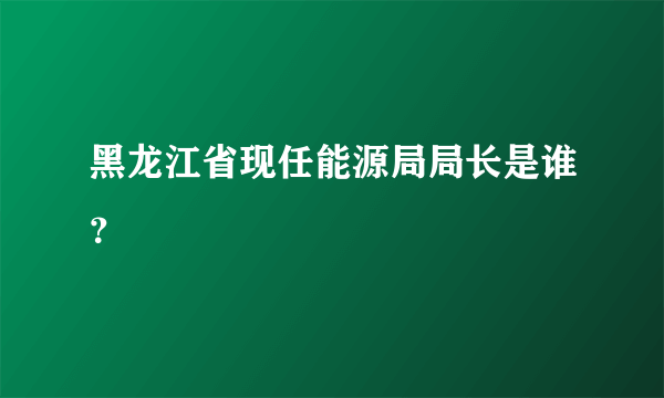 黑龙江省现任能源局局长是谁？