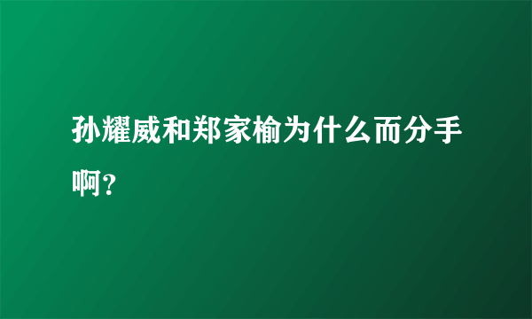 孙耀威和郑家榆为什么而分手啊？